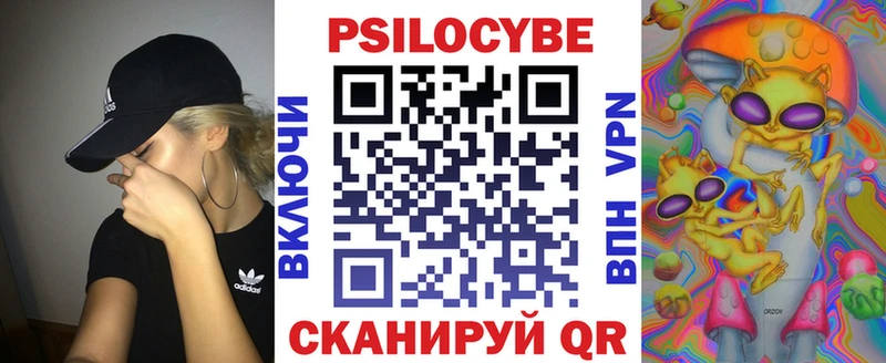Купить закладки  Чаплыгин  Псилоцибиновые грибы прущие грибы 